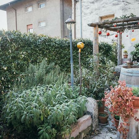 B&B Pedelmont Mezzocorona Exterior foto
